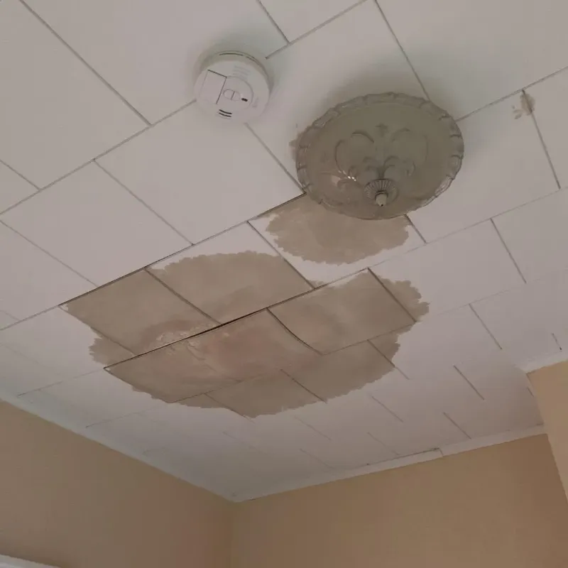 Ceiling Water Damage Repair in City of Poquoson, VA