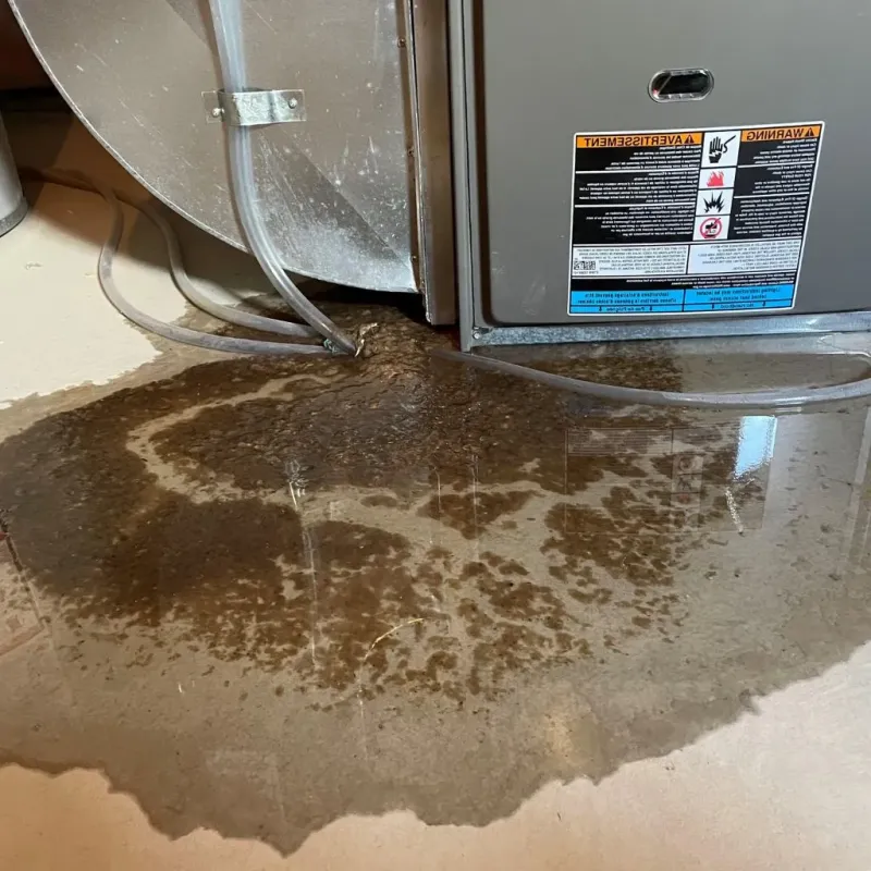 Pipe Burst and Leak Restoration in City of Poquoson, VA