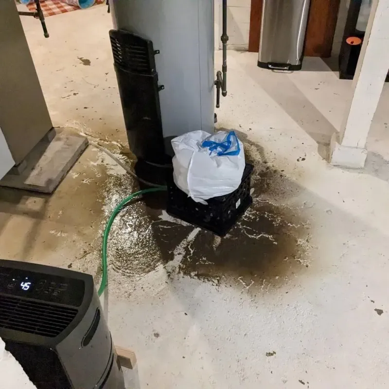 Sewage Backup Cleanup Service in City of Poquoson, VA
